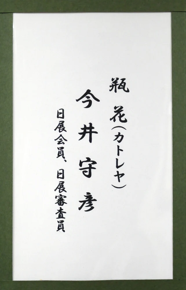 瓶花（カトレヤ） - Image 8