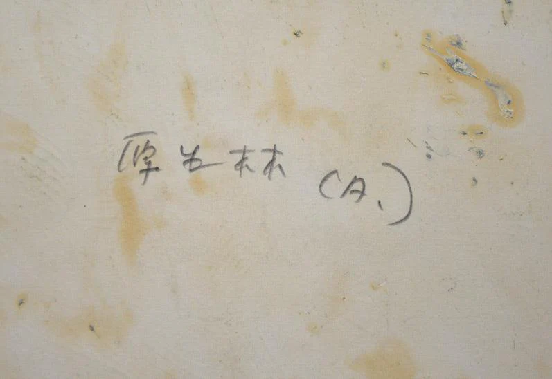 原生林 - Image 5