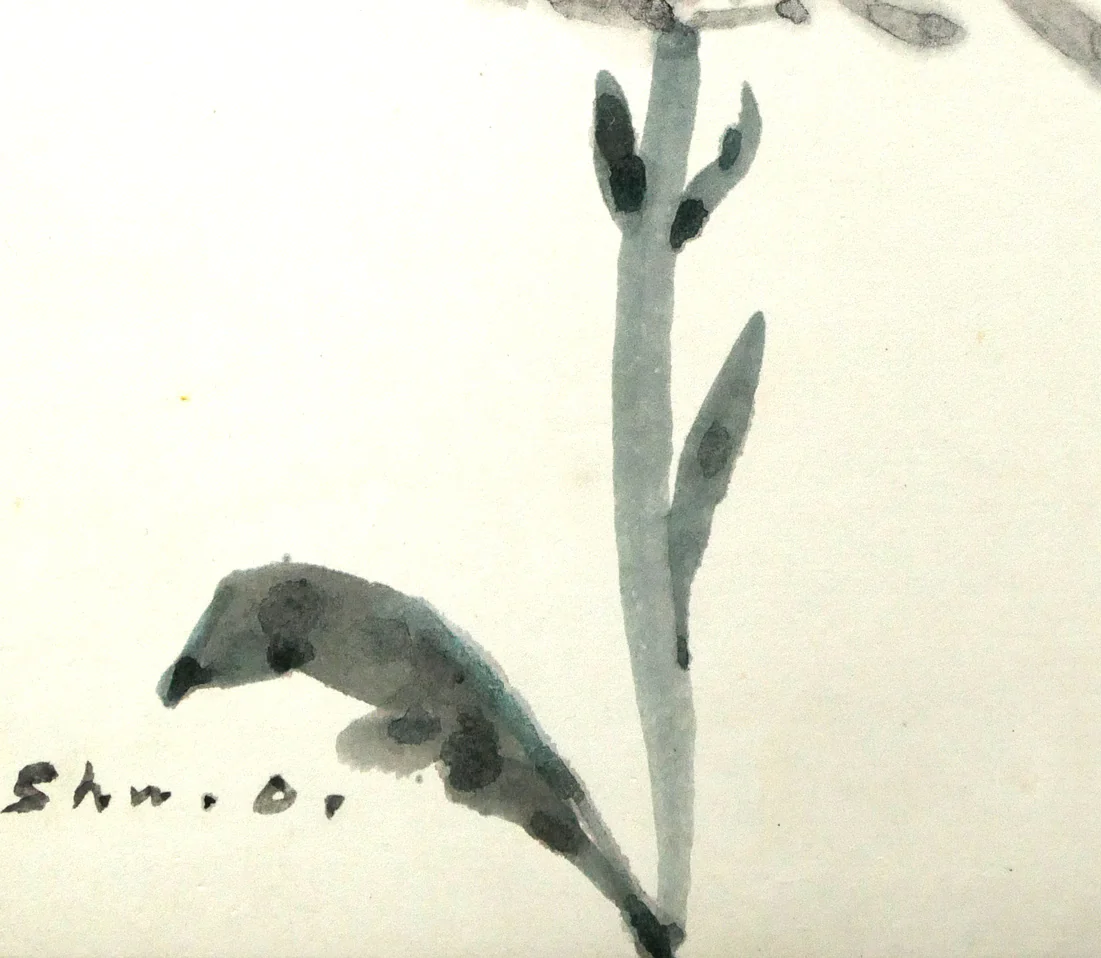 花 - Image 5