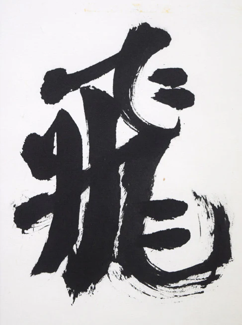 飛龍 - Image 4