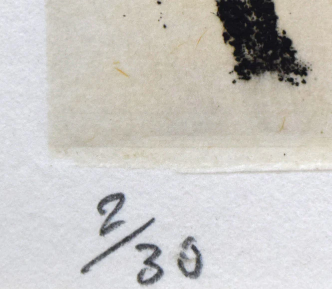 仔馬 - Image 3