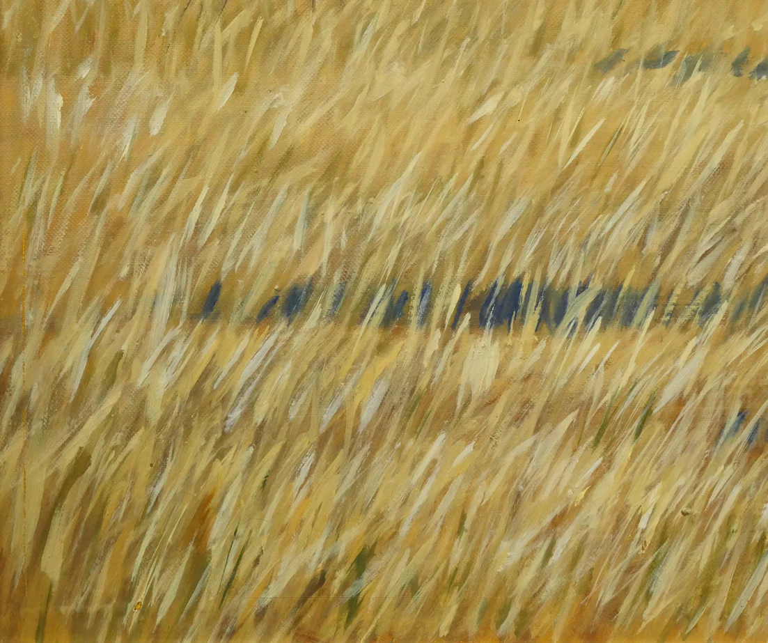 湿原の鶴（釧路） - Image 7