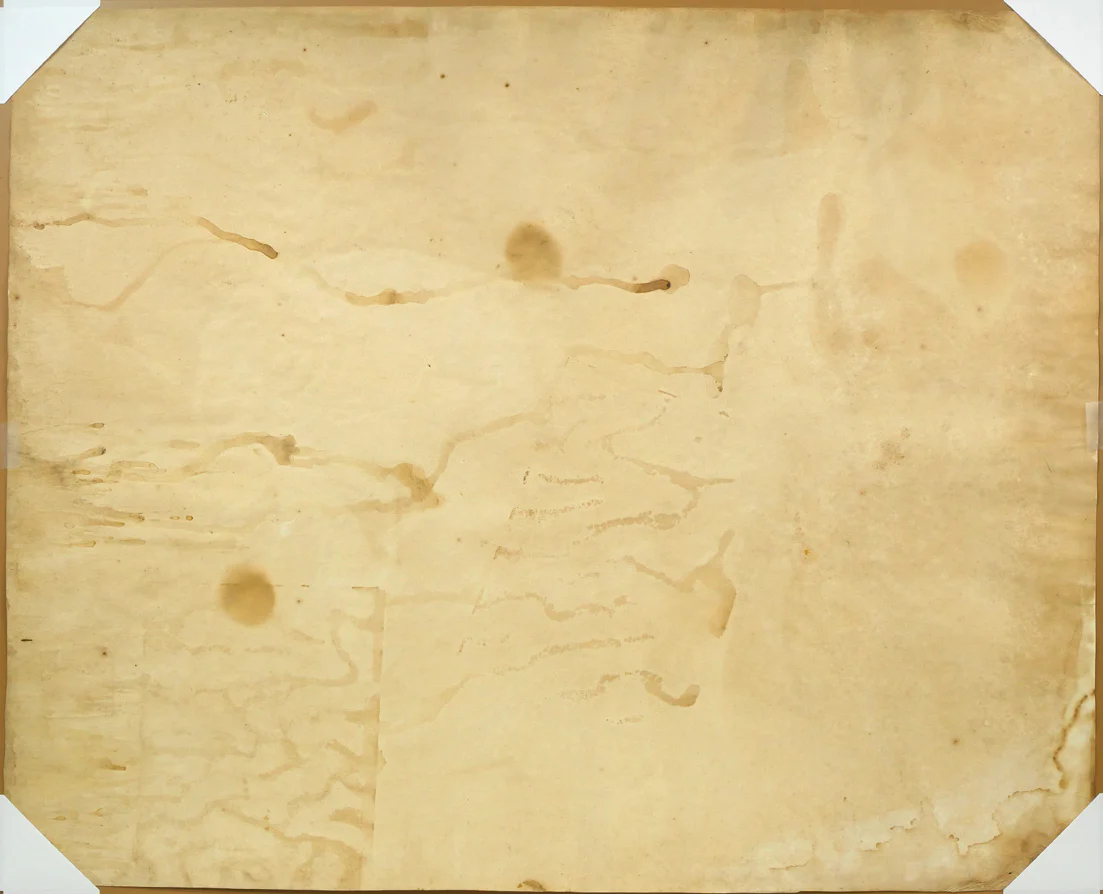 馬 - Image 9