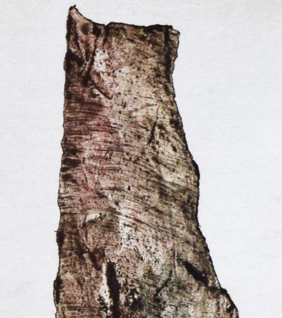 山 - Image 4